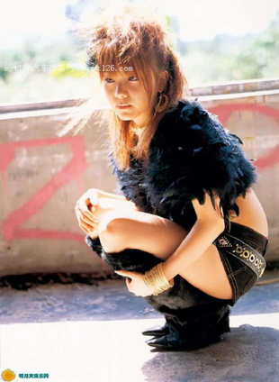 天天射日日碰精选内容